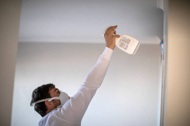 Best Attic Mold Removal  in Williamsport, OH