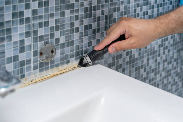 Best Local Mold Removal Service  in Williamsport, OH